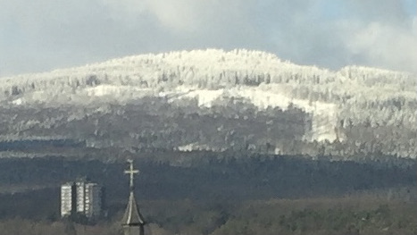 Klimawandel in Kronberg